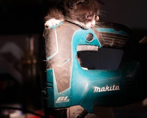 sgalagaev-M1pdiLaOhSs-unsplash (1)